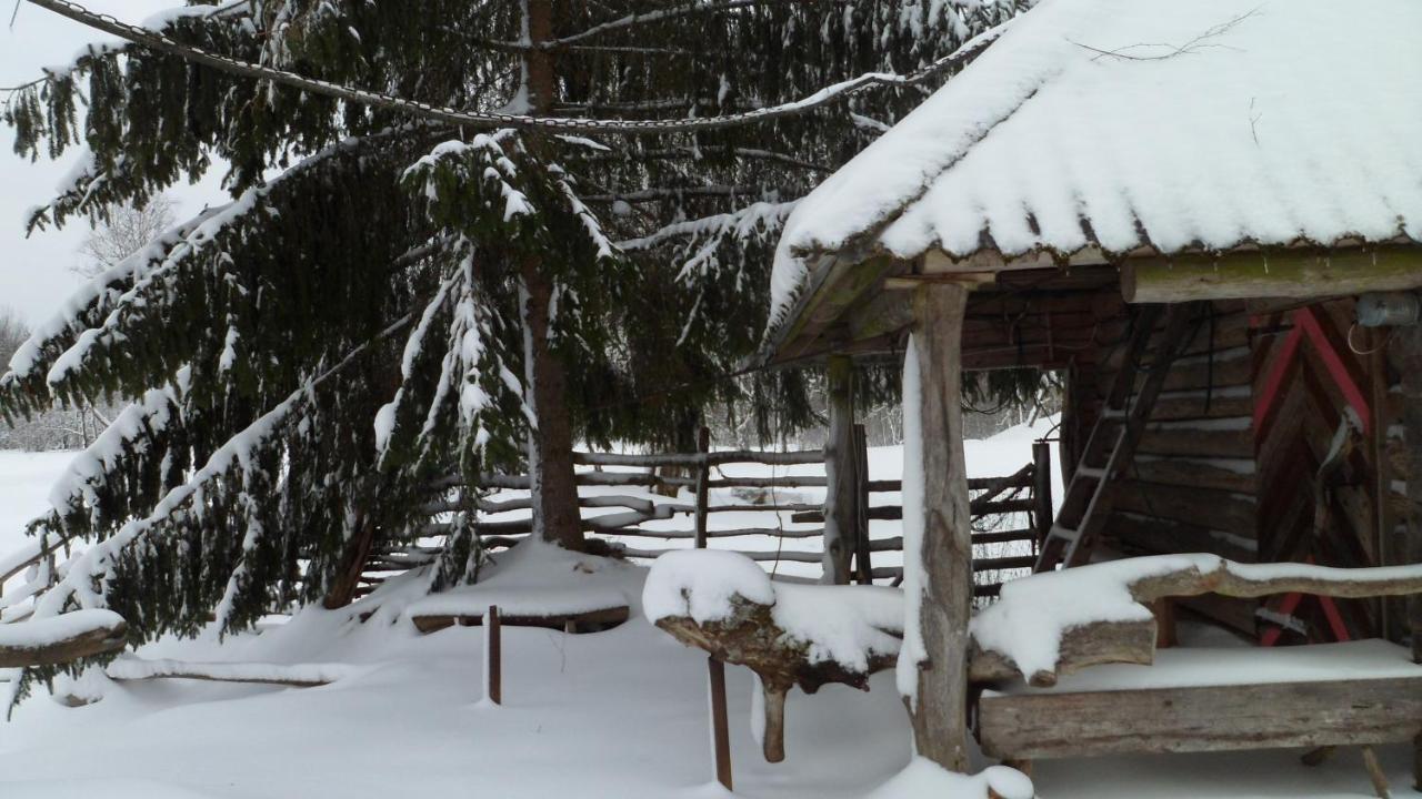 Viruna Farm Kiraste Exteriér fotografie