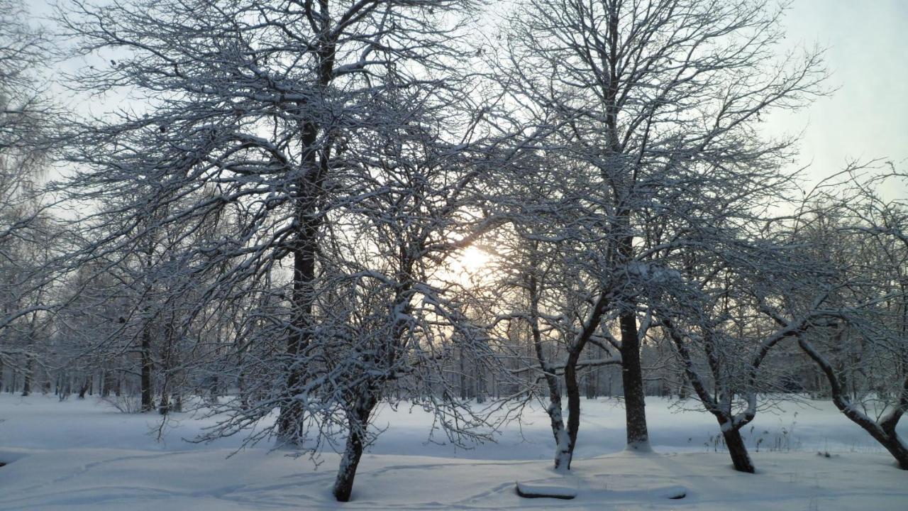 Viruna Farm Kiraste Exteriér fotografie