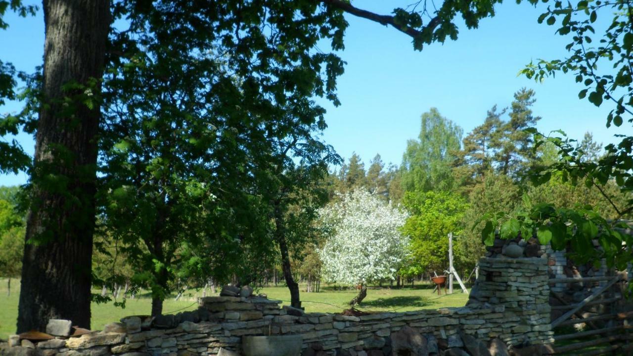 Viruna Farm Kiraste Exteriér fotografie