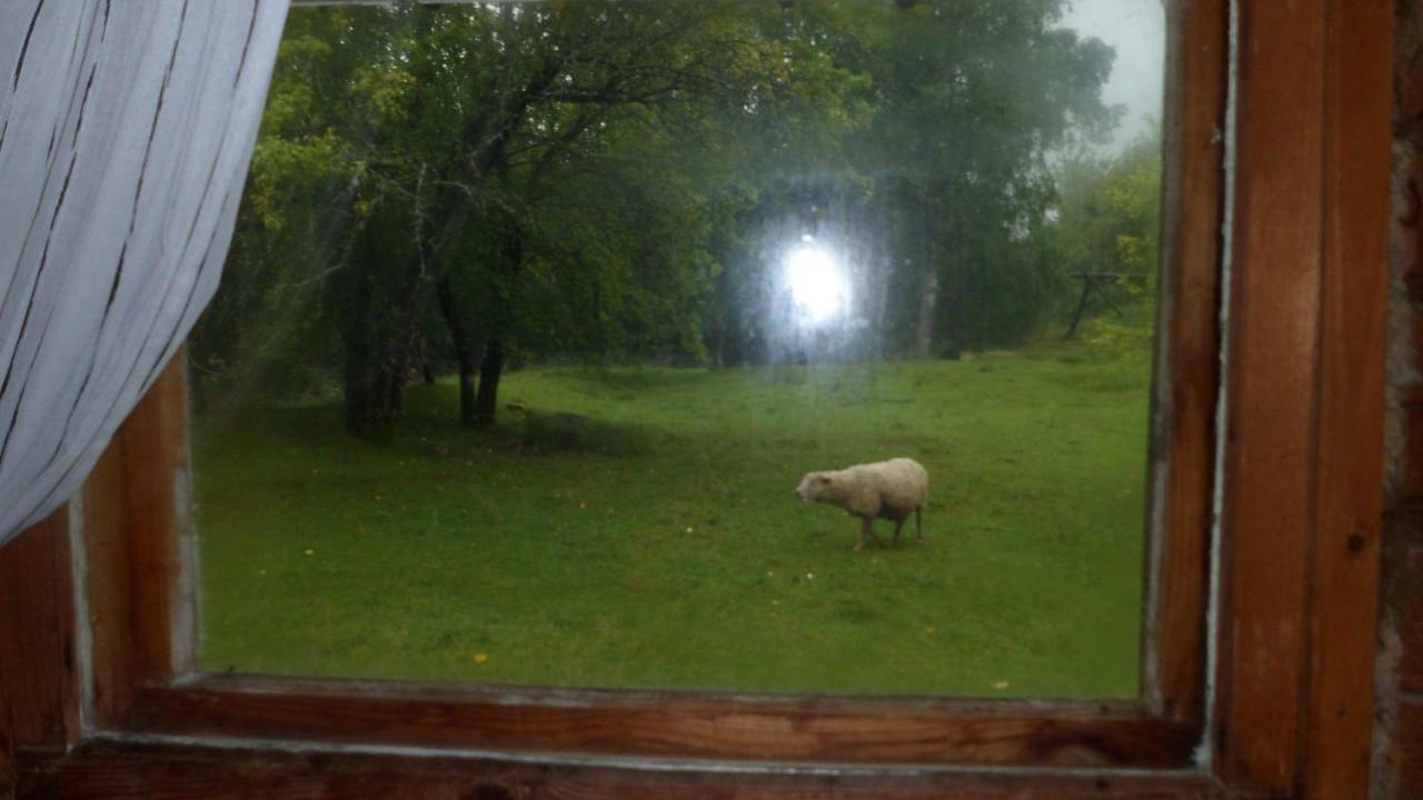Viruna Farm Kiraste Exteriér fotografie