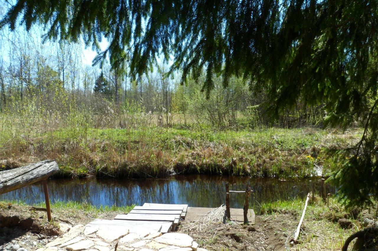 Viruna Farm Kiraste Exteriér fotografie